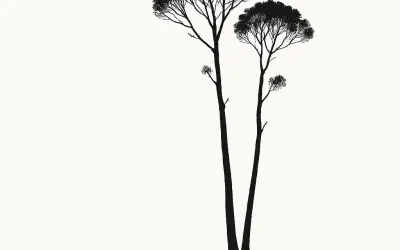 Emociones Básicas en coaching: Qué Son, y Cómo Manejarlas