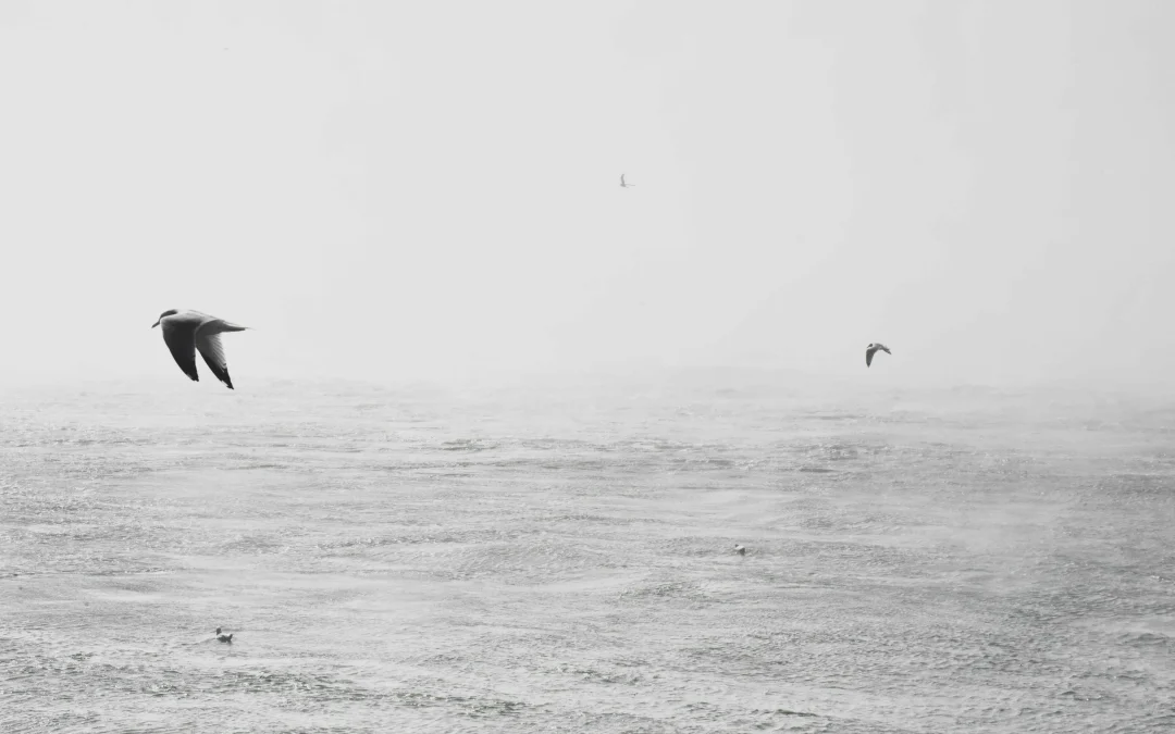 Ilustración de una persona con etiquetas sociales superpuestas, como metáfora de la identidad psicosocial.